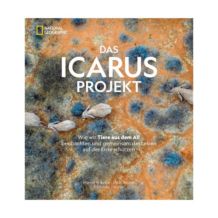 Das ICARUS Projekt