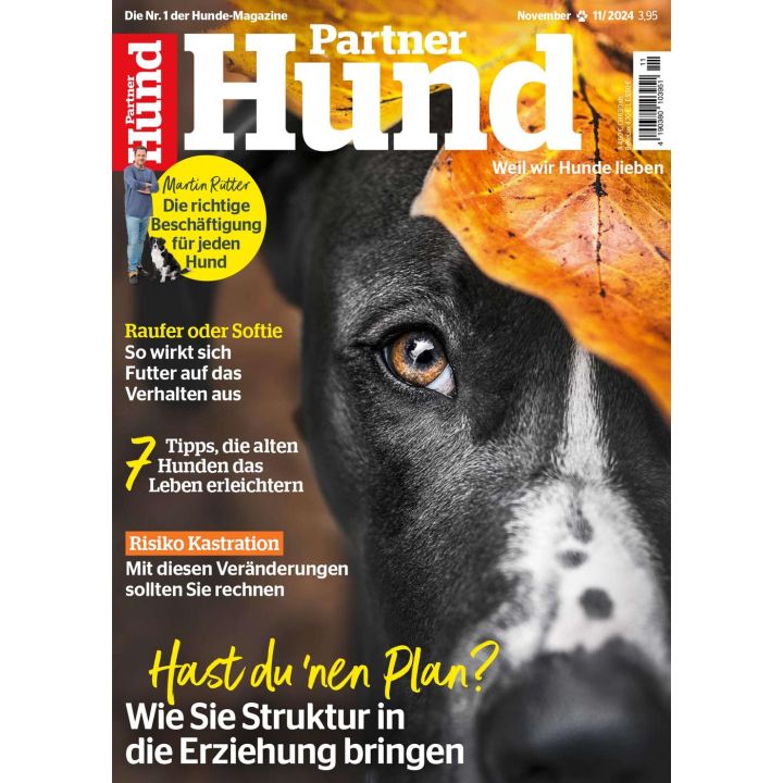 Partner Hund 11/2024