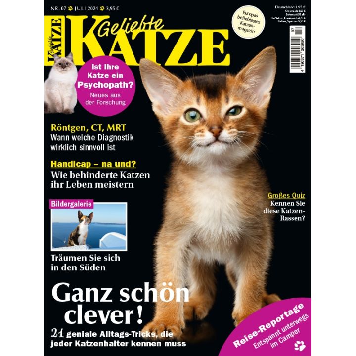 Geliebte Katze zum Verschenken