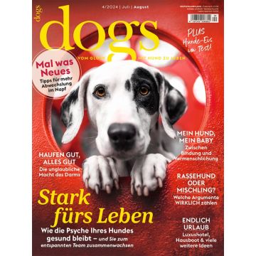 Dogs zum Verschenken