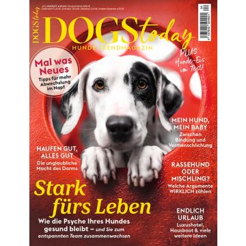 Dogs Today Upgrade für Printabonnenten