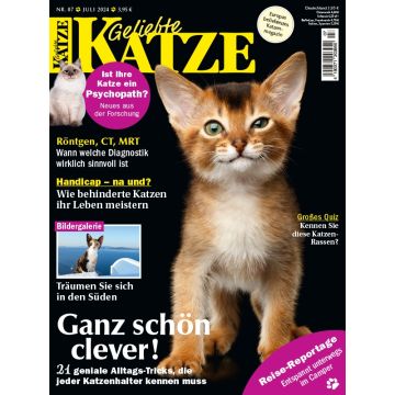 Geliebte Katze zum Testen